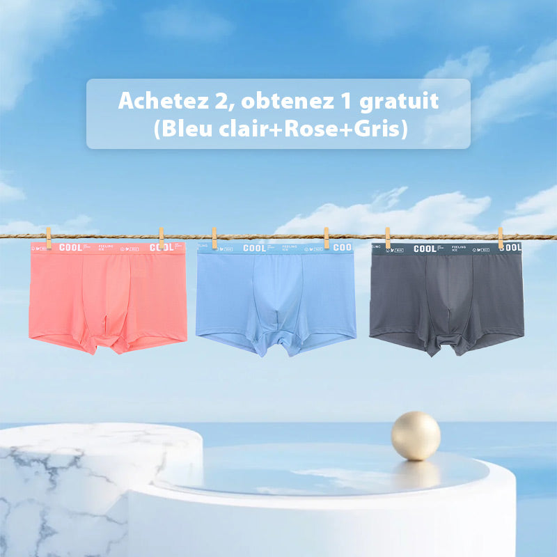 🔥Achetez 2 Obtenez-en 1 Gratuits🔥Boxers Respirants et Rafraîchissants pour Hommes