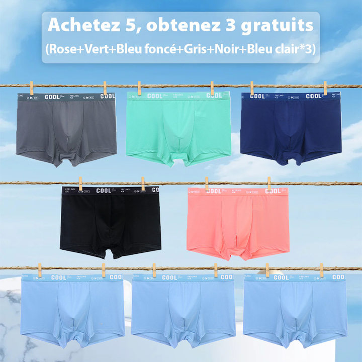 🔥Achetez 2 Obtenez-en 1 Gratuits🔥Boxers Respirants et Rafraîchissants pour Hommes