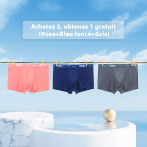 🔥Achetez 2 Obtenez-en 1 Gratuits🔥Boxers Respirants et Rafraîchissants pour Hommes