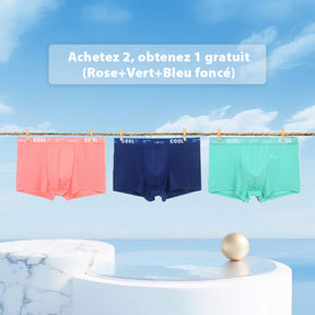 🔥Achetez 2 Obtenez-en 1 Gratuits🔥Boxers Respirants et Rafraîchissants pour Hommes